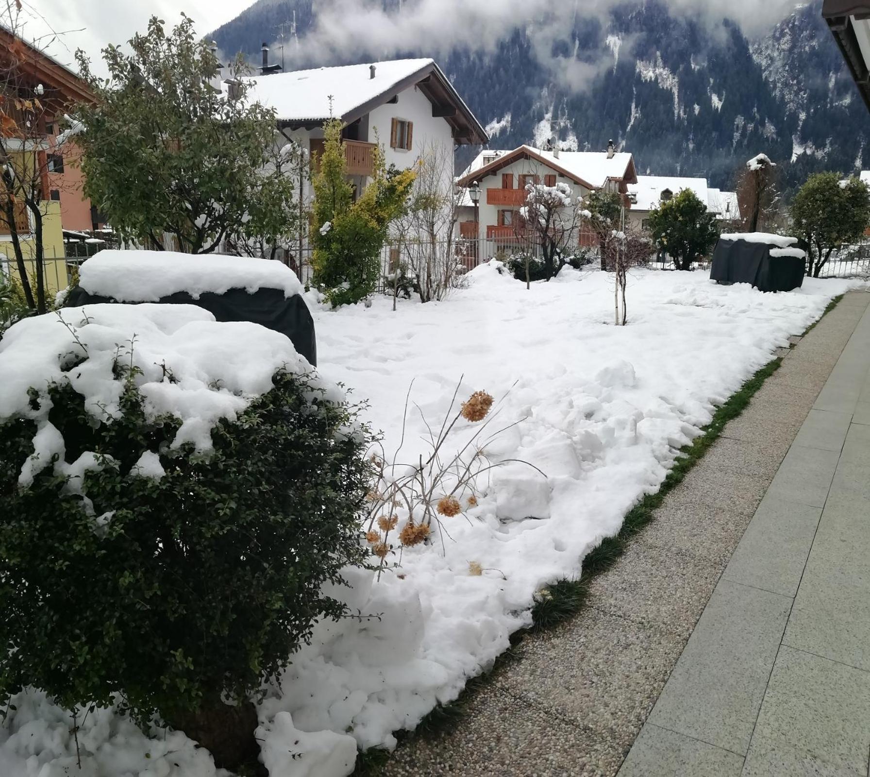 Appartamento Con Giardino Carisolo Exterior photo